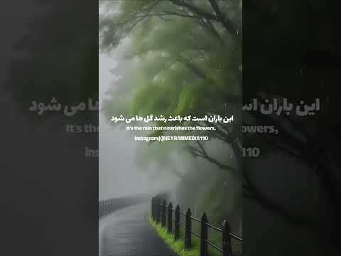 امیرمؤمنان فرمودند زیبایی سخن نشانه فزون خ ر دی است 