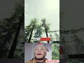 the forest MICASA!!!!🤬🤬