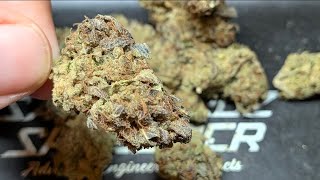 THCA-haltige kleine Blüten | Dieser Texas-Tee ist viel Lärm um nichts! 🗑️🤠💩 THCA-Testbericht!! TSB!!