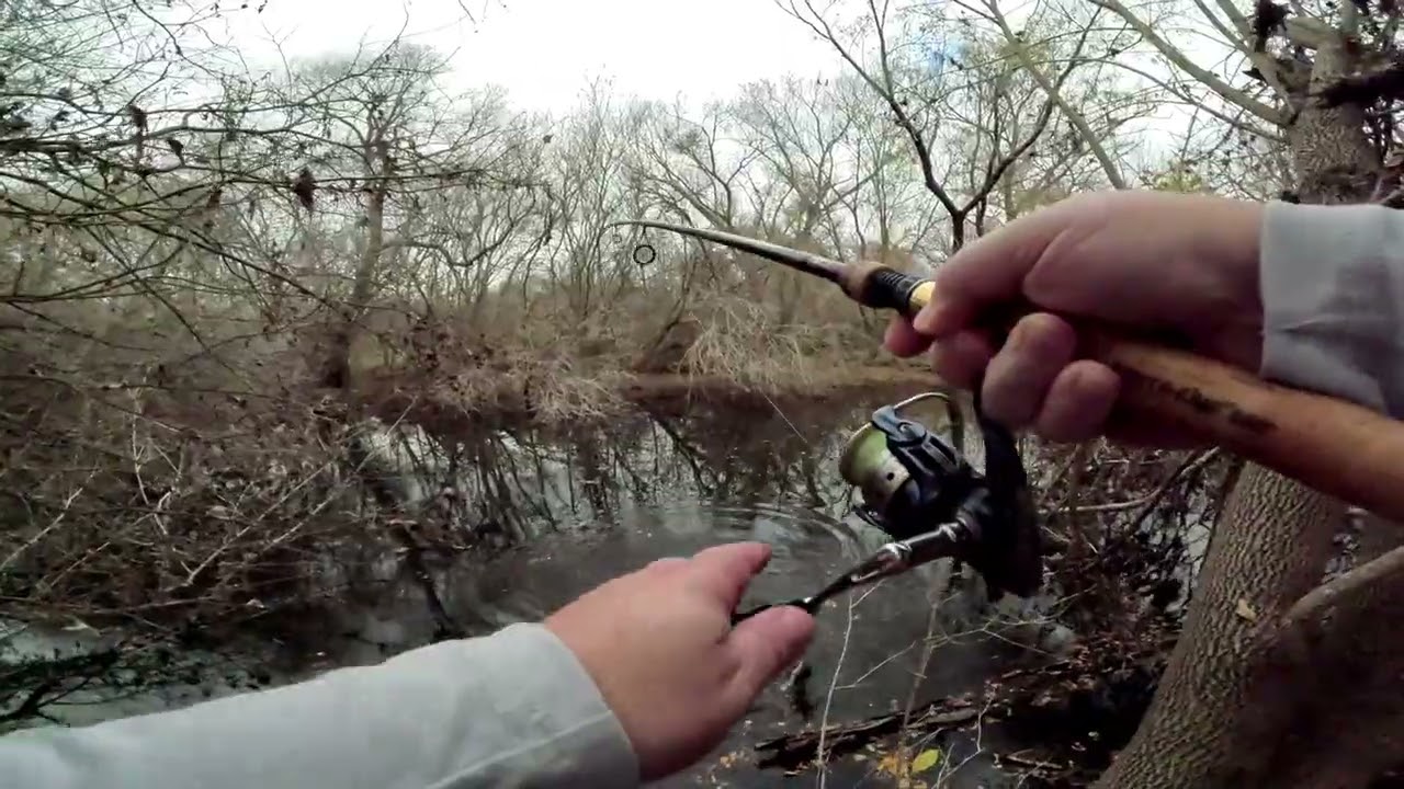 Bass fishing at Leon Creek on December 28, 2025.  How important is your time?