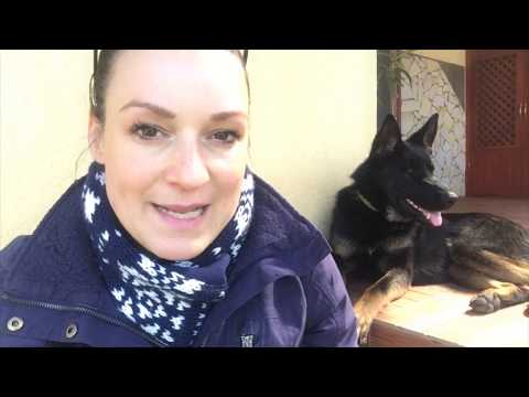 Videó: El tudok adni egy Strep fertőzést a kutyámnak?