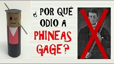 ¿Por qué odio el caso de Phineas Gage?
