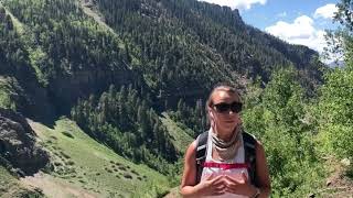 Welcome to SearchTellurideRealEstate.com