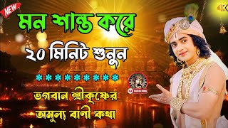 মন শান্ত করে ২০ মিনিট শুনুন !! ভগবান শ্রীকৃষ্ণের অমূল্য বাণী কথা !! Gita Srikrishna Bani Katha !! screenshot 5