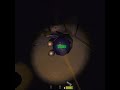 Why did he shoot me