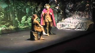 A Midsummer Nights Dream - Act 2 Scene 1 - "How now, spirit!" (Subtitles in modern English)