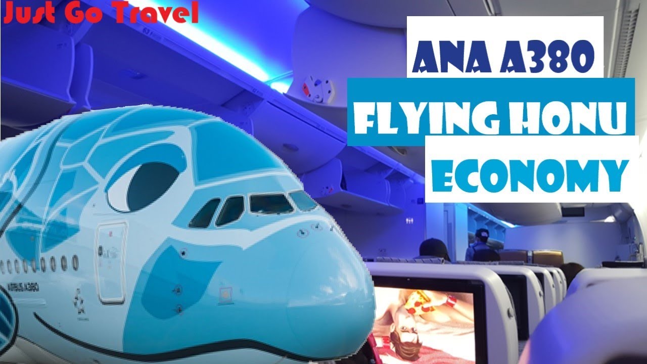 ANA A380 FLYING HONU Economy ANA Couchii Tokyo ⇋ Honolulu - The BEST Economy Ever?