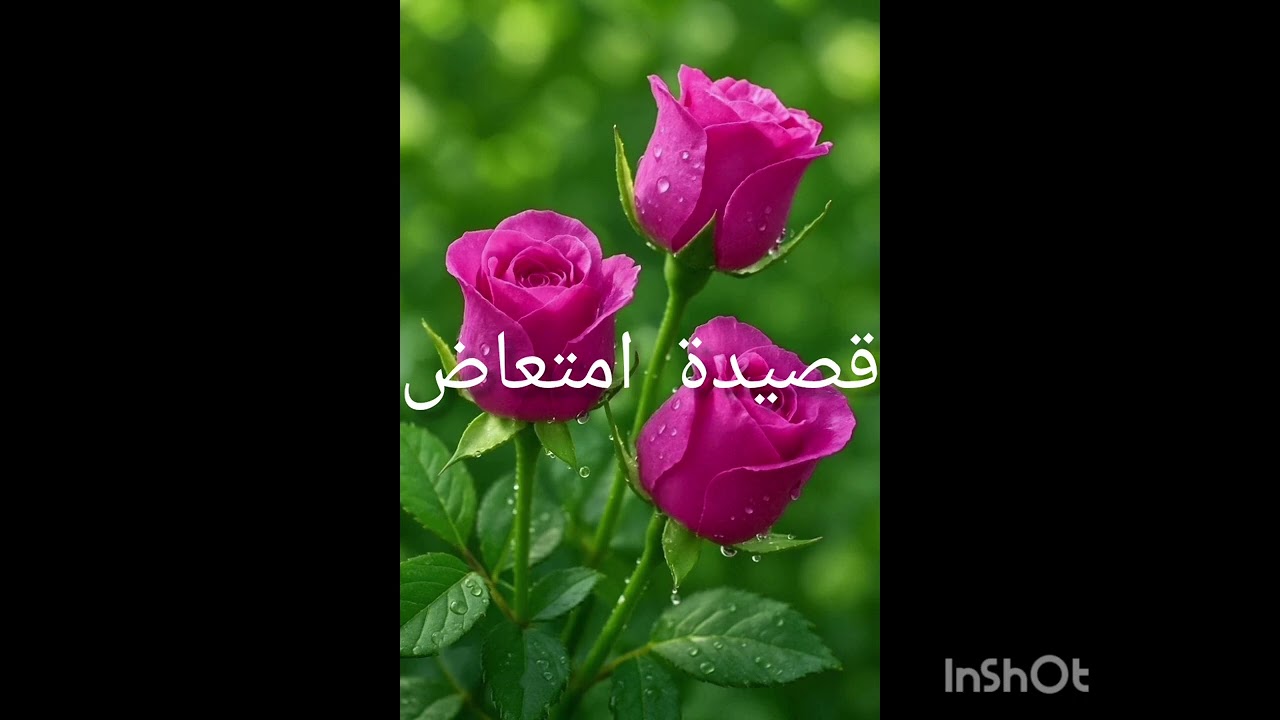 قصيدة جديدة بعنوان أمتعاض للشاعر مولاي اسماعيل العلوي