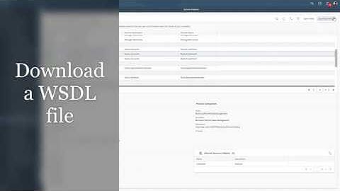 SAP C4C - How-To Connect Via Webservices