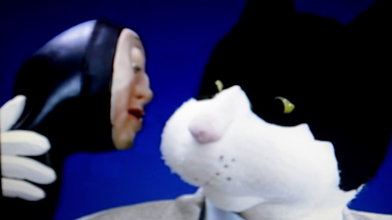 Telechat(French Furry TV Show) Review - YouTube