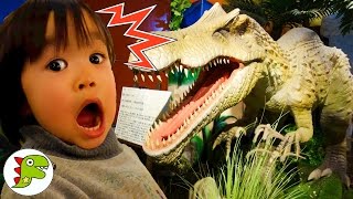 おでかけ 恐竜に会いに行ったよ❤ダイナソー Toy Kids トイキッズ anpanman