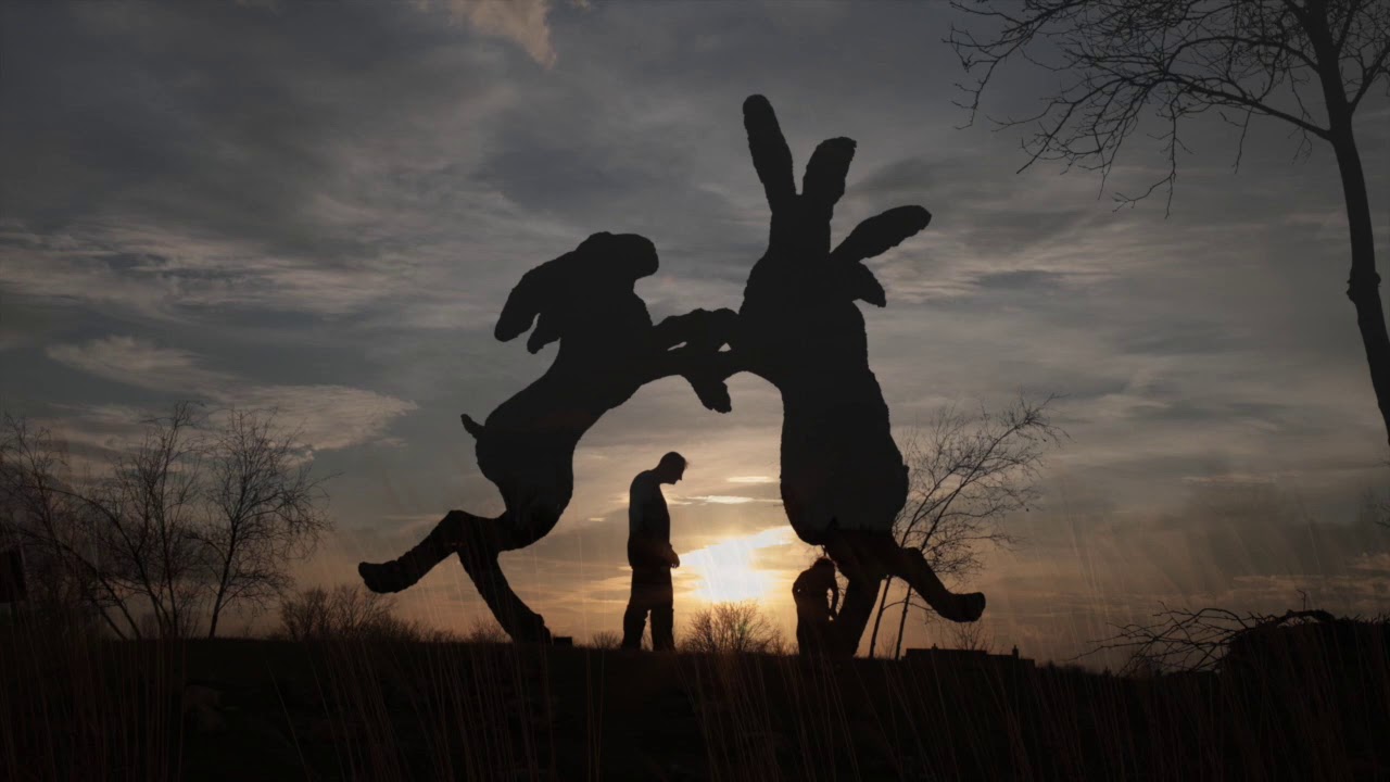 Beautiful Timelapse Video | Free Background Video | Green Screen Wiki