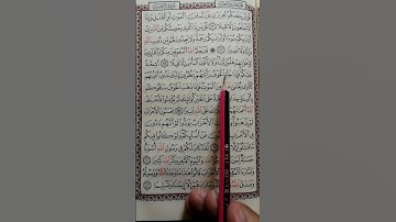 تعليم سورة الأحزاب آية 19