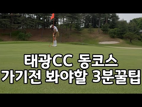 태광cc 동코스 노캐디 3인플레이 3분꿀팁