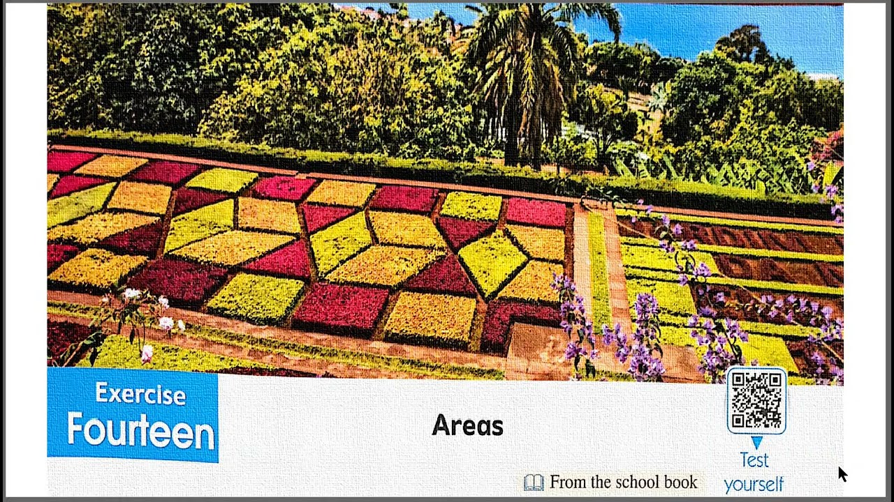 Answer -  El Moasser 2022 Senior 1 - Trigonometry - Lesson 7 ( Areas ) T2