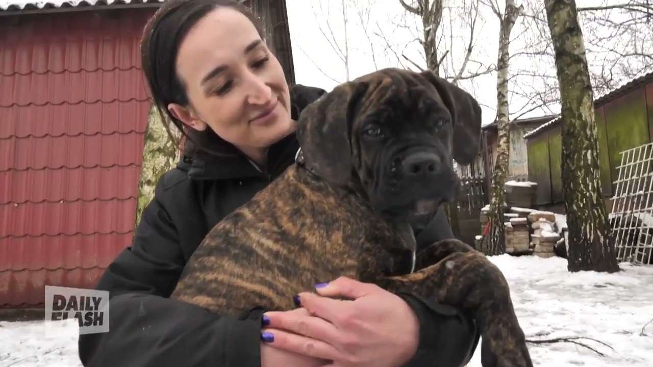 Humane Society | Keeping Pets Together in Hard Times | Kitty Block | Daily Flash