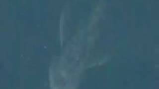 Full Videonessie Found Lochness Monster--Satellite- Mysterious Shape Lurking - Scottish Highlands