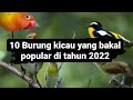 10 Burung Kicau yang Bakal Trend di tahun 2021