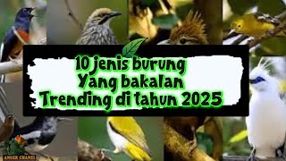 10 Burung Kicau yang Bakal Trend di tahun 2025