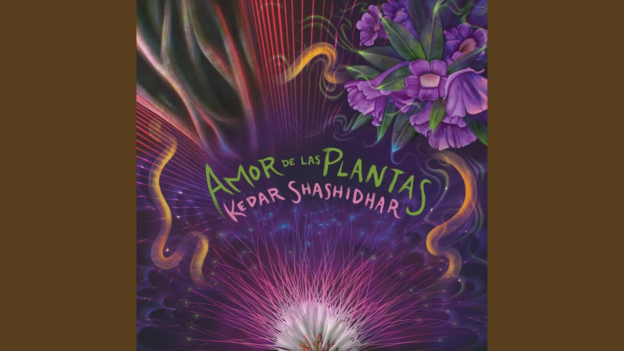 Como No Voy A Cantar