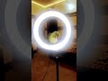 #funny #subscribe #parrot