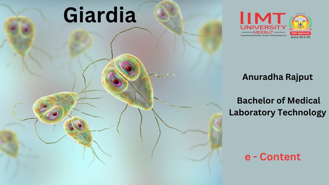 Anuradha Rajput Giardia Bachelor Of Medical Laboratory Technology Anuradha Rajput Giardia Bachelor Of Medical Laboratory Technology