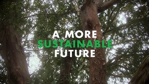 Make Recycled Possible | TOMMY HILFIGER