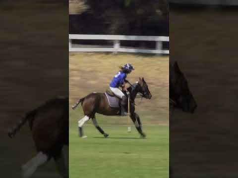 Thumbnail for Your Home TV