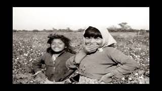 Napalpí - Provincia del Chaco, República Argentina