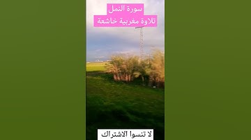 #القرآن_الكريم #سورة النمل#تلاوة مغربية#quran #
