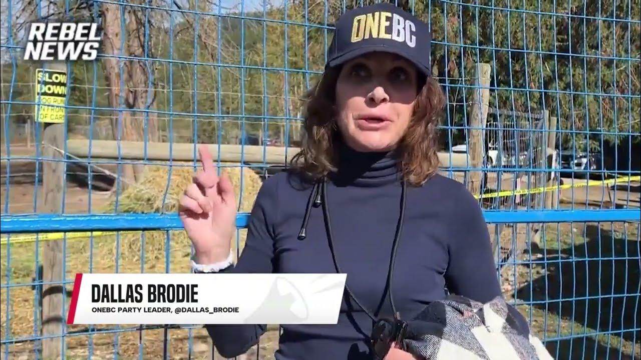 ‘Where are you?’: OneBC leader Dallas Brodie calls out David Eby and John Rustad over ostrich cull