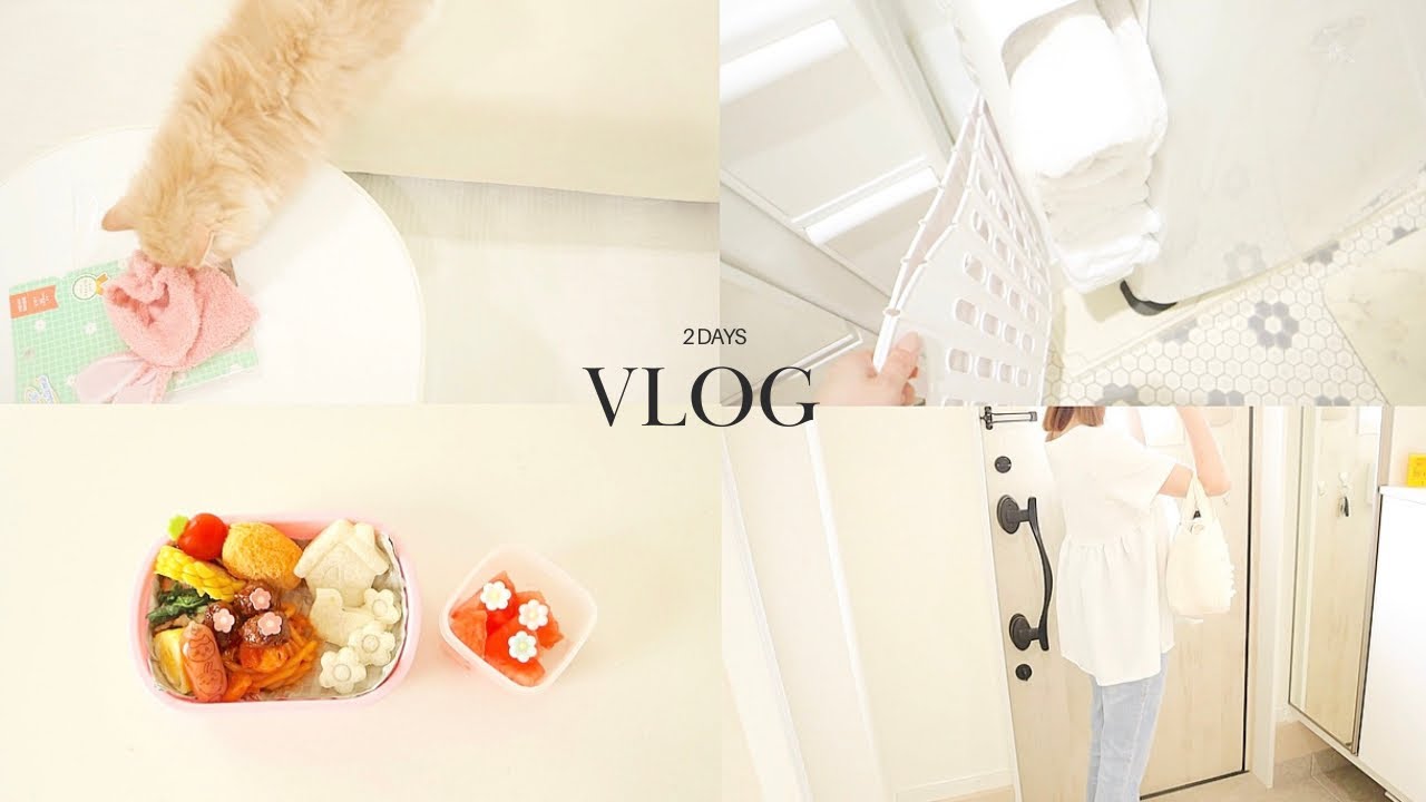 2days vlog 🌼 最近のいろいろ