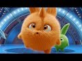 Videos For Kids | Sunny Bunnies - TURBO IN THE SPOTLIGHT | Funny Videos For Kids