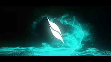 FREE Panzoid Intro Pack "X"