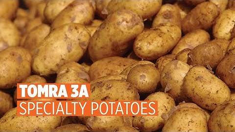 TOMRA 3A | Specialty Potatoes Sorting