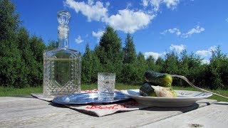 Как я делал домашнюю кедровую водку по методике 1792 года. / Самогоноварение Как я делал домашнюю кедровую водку по методике 1792 года. / Самогоноварение