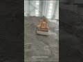 Power Plant Ash Handling Electric Hydraulic Clamshell Grab Bucket