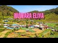 Sri lanka  nuwara eliya