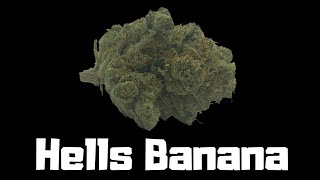 Hells Banana Strain Review