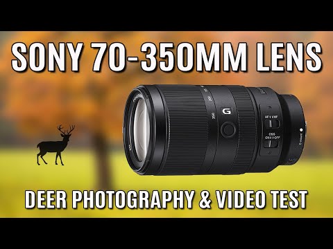 SONYＥ70ー350mmＦ4.5-6.3Ｇ OSS de493504-e14f-4da4-90ee-
