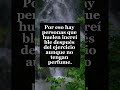 #datospsicologicos #datosinteresantes #datosquenosabias#datoscuriosos #relsviral