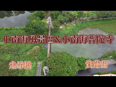 台南白河 | 小南海風景區&小南海普陀寺 | 一間禪寺一座吊橋，湖光水色盡收眼底 | 走吊橋 賞蓮花 | 免門票 好停車 | 4K 60P 空拍