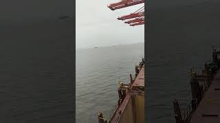 durban port discharging 5days