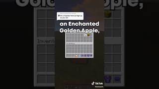 Minecraft: You Can Fall  1,129 Blocks