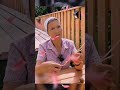 Какртошка полезна или вредна?