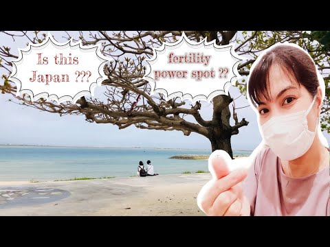 Video: Nyårsdag I En Expat I Okinawa, Japan - Matador Network