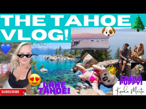 THE LAKE TAHOE VLOG! (nude beach, Ca$H cam & hiking views) - YouTube