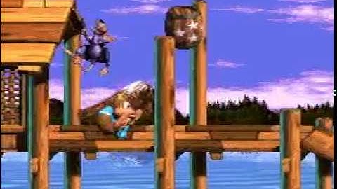 Donkey Kong Country 3 Super Nintendo SNES 2 players team gameplay