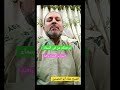 الراحمون يرحمهم الرحمن أرحمواأهل الأرض يرحمكم من السماء الشيخ عماد أبوالحسنين ترند اكسبلور