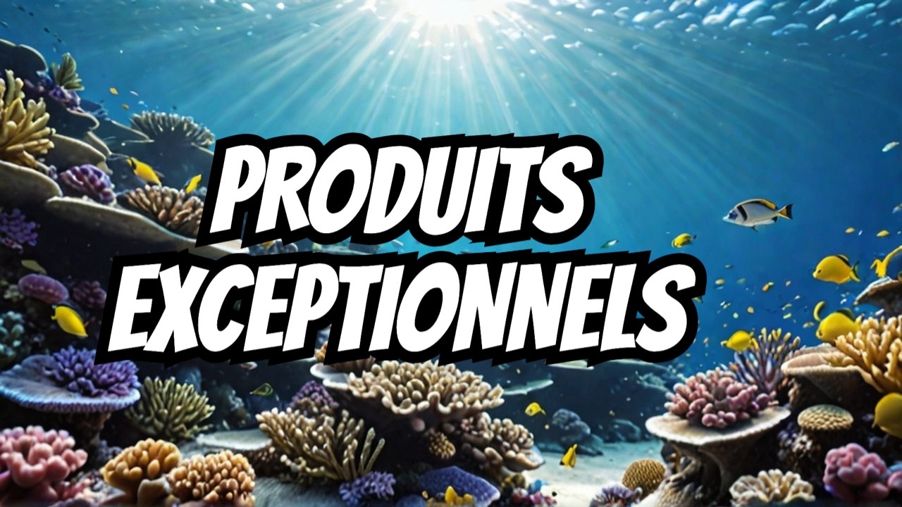 🎥 Dans les Coulisses de BEA : Innovation, Passion et Produits Hors Norme pour le Récifal !